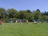 Parkvolley_Mixedturnier2012_001.jpg - 