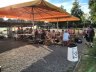 BeltaneParkvolleyturnier2014_Freitag_013.jpg - 