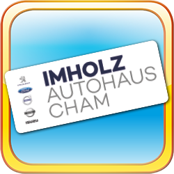 Imholz Autohaus Cham unterstützt das Parkvolleyball-Turnier in Cham 2023 | Volleyball-Turnier im Kanton Zug | Imholz Authaus Cham, Peugeot Ford Nissan Volvo